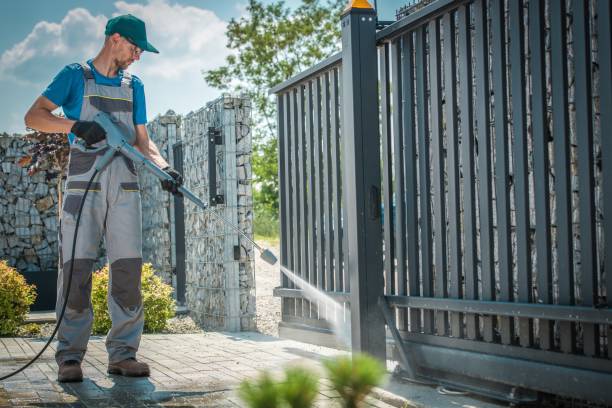 Animal Enclosure Cleaning in Mount Hermon, VA