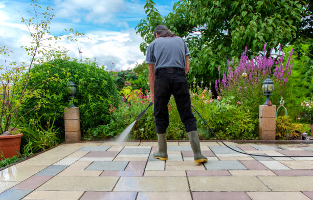 Best Driveway Pressure Washing  in Mount Hermon, VA